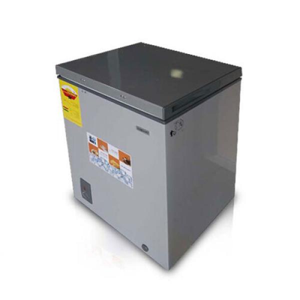 Nasco Chest Freezer