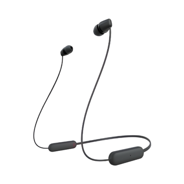Sony Ear Bud
